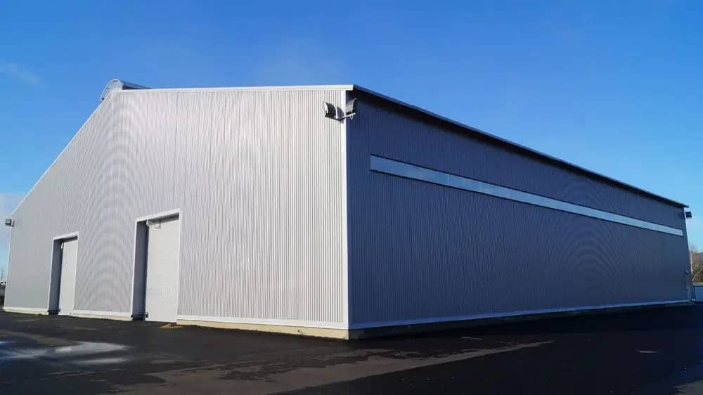 Портрет человека